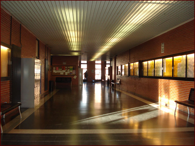 коридоры факультета