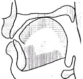 �