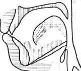 �