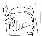 �