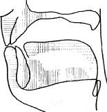 �